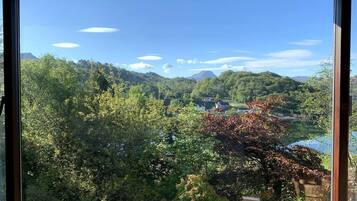 Une vue à travers une fenêtre sur un paysage verdoyant et luxuriant, avec une montagne à l’horizon et un ciel bleu dégagé.