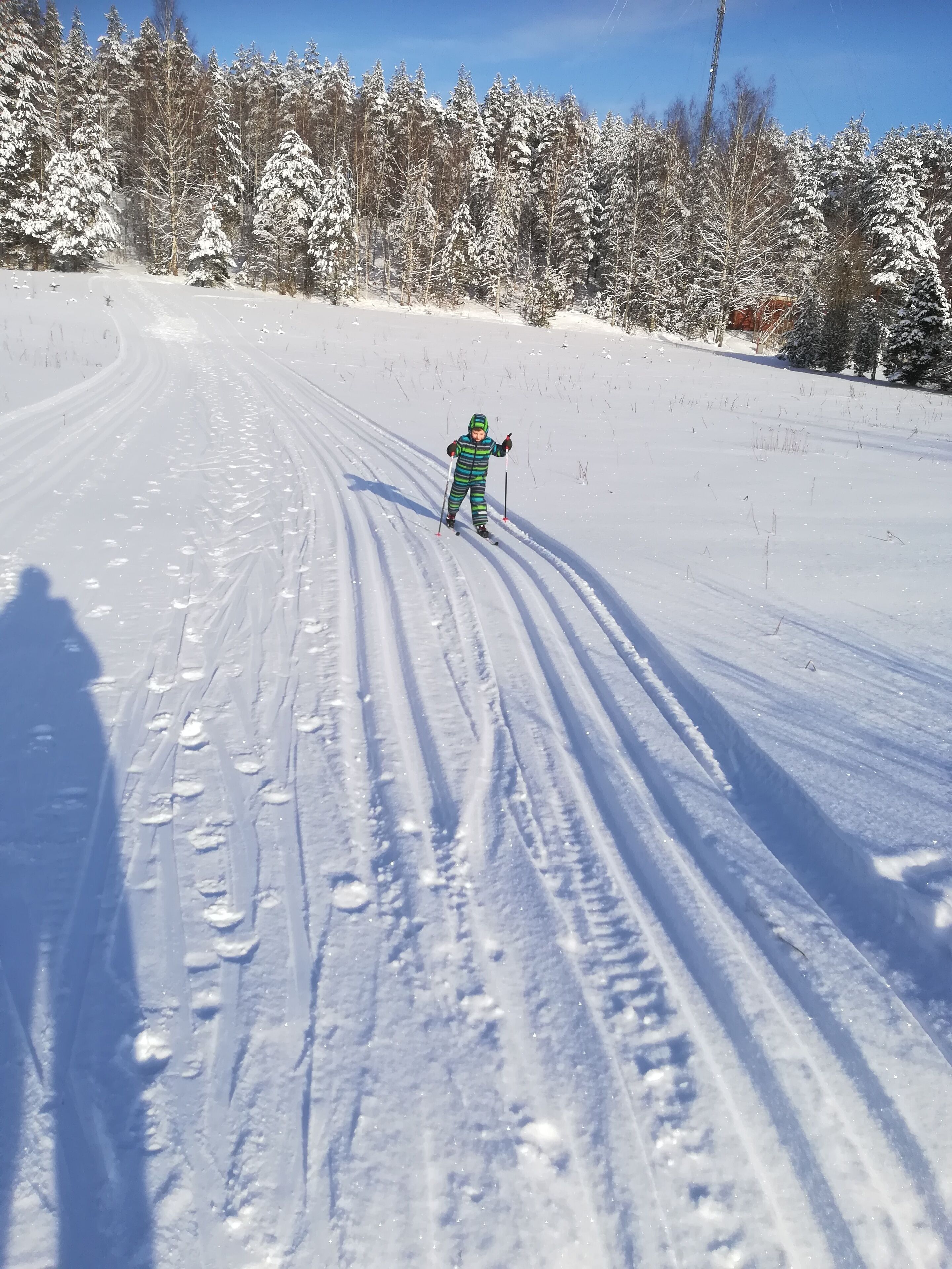 A snowy landscape with a person skiing.