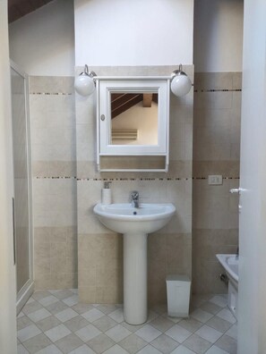 Shower, hair dryer, bidet, towels
