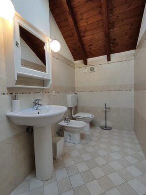 Shower, hair dryer, bidet, towels