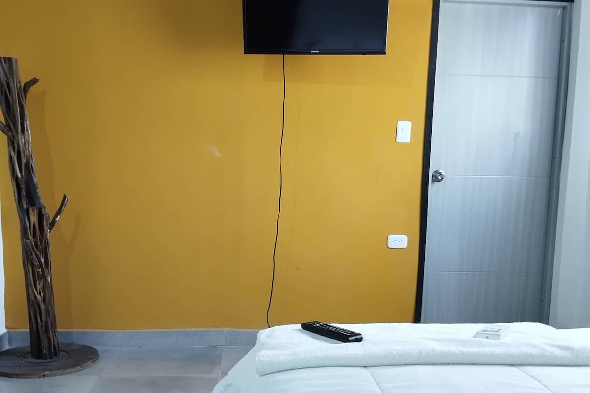Une chambre d’hôtel avec un lit, un téléviseur fixé au mur, une porte et une petite plante.