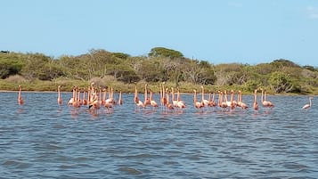 Eco-rondleidingen