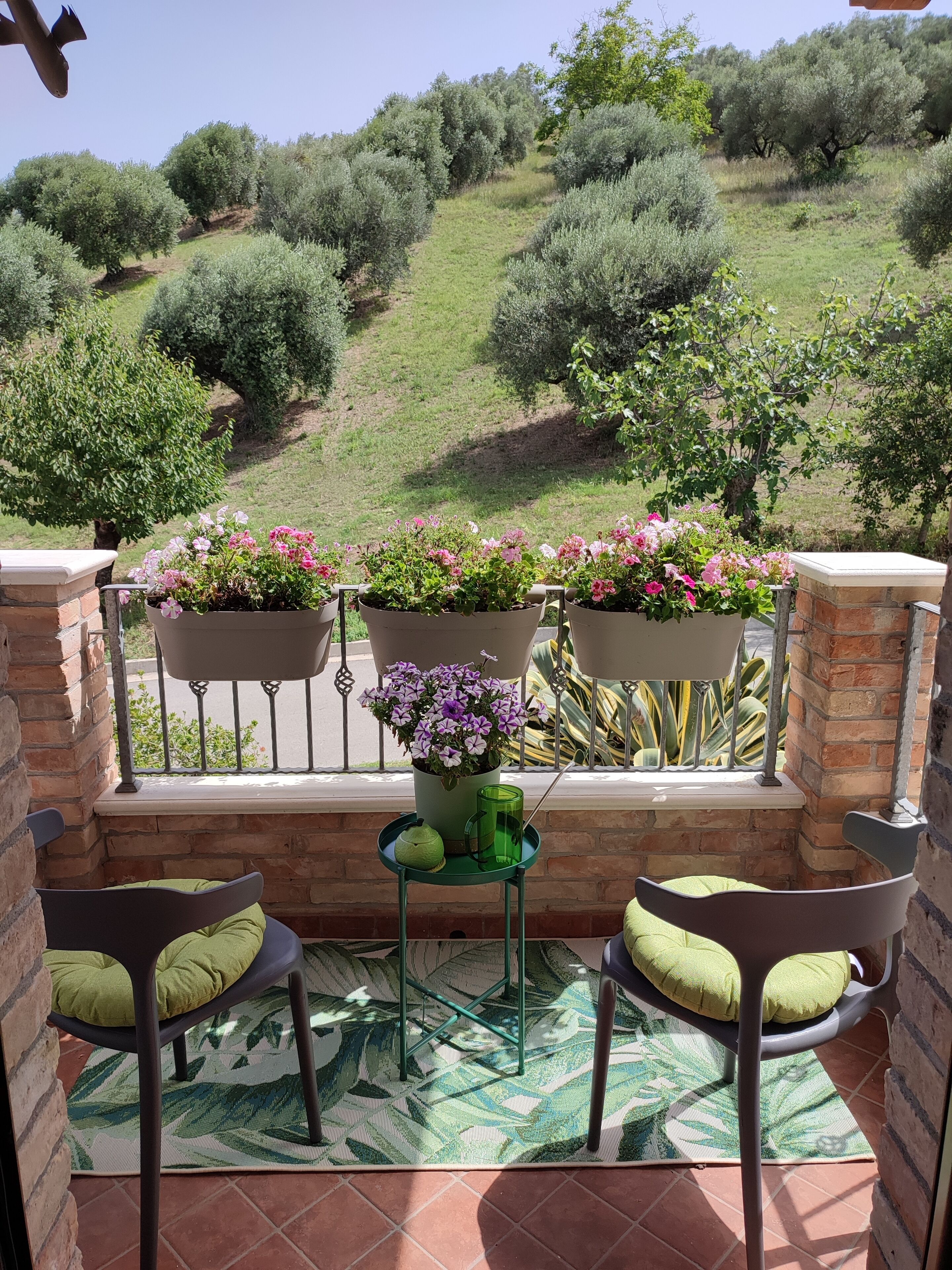 Parco della struttura