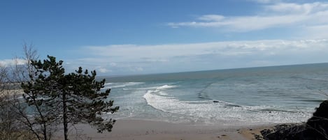 Nära stranden
