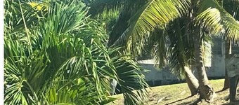 SUNNY, Mid island gem, 5 mins from the beach