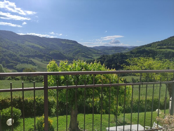 Property grounds - Cozy house surrounded by nature with important panoramic view (Lombardia)