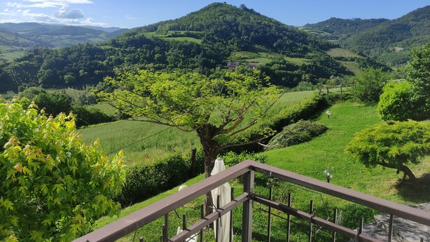 A scenic view of a lush green valley with rolling hills and a clear blue sky.