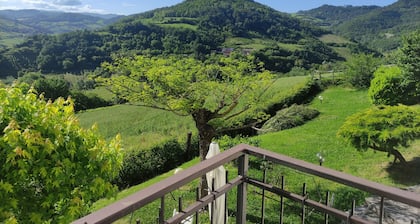 Cozy house surrounded by nature with important panoramic view