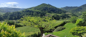 Cozy house surrounded by nature with important panoramic view