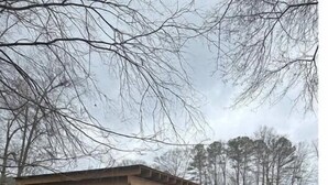 Eine Holzterrasse über dem Wasser mit einer Glaseinfriedung, umgeben von Bäumen.