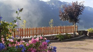 A wooden fence, flowering plants, and a mountainous backdrop.