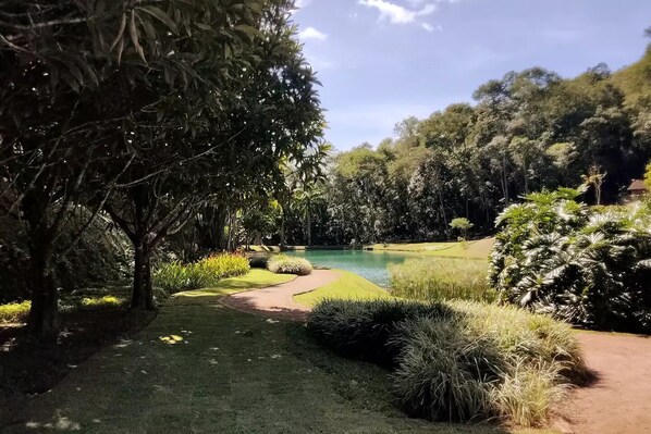 Jardines del alojamiento