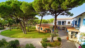 A courtyard with a stone pathway, surrounded by trees and a building with blue arches and a tiled roof. - Villaggio Colostrai (Muravera)
