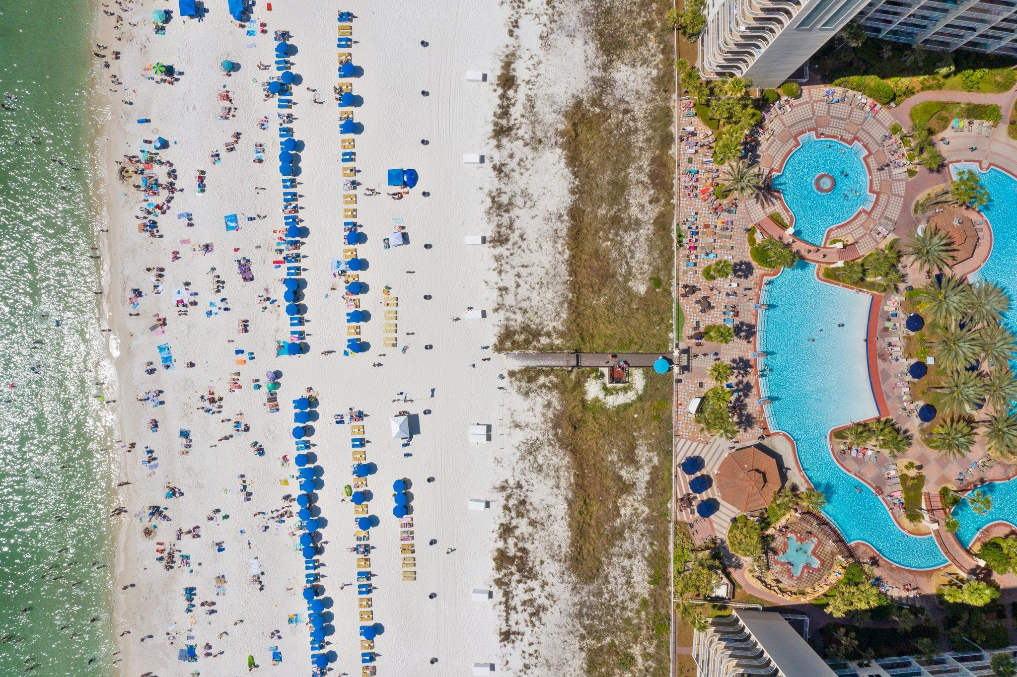 Vista aérea de una playa con hileras de sombrillas y tumbonas, una piscina de diseño singular y un edificio junto a la playa.