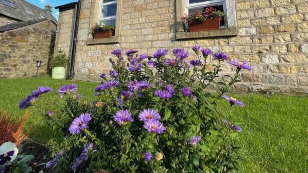 A stone building with arched windows and a flower bed in the foreground. - Lancaster 1 bed Cottage Apartment- M6 - Lancs Uni (Lancaster)