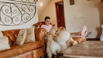 Villa básica | Área de sala de estar | Televisión