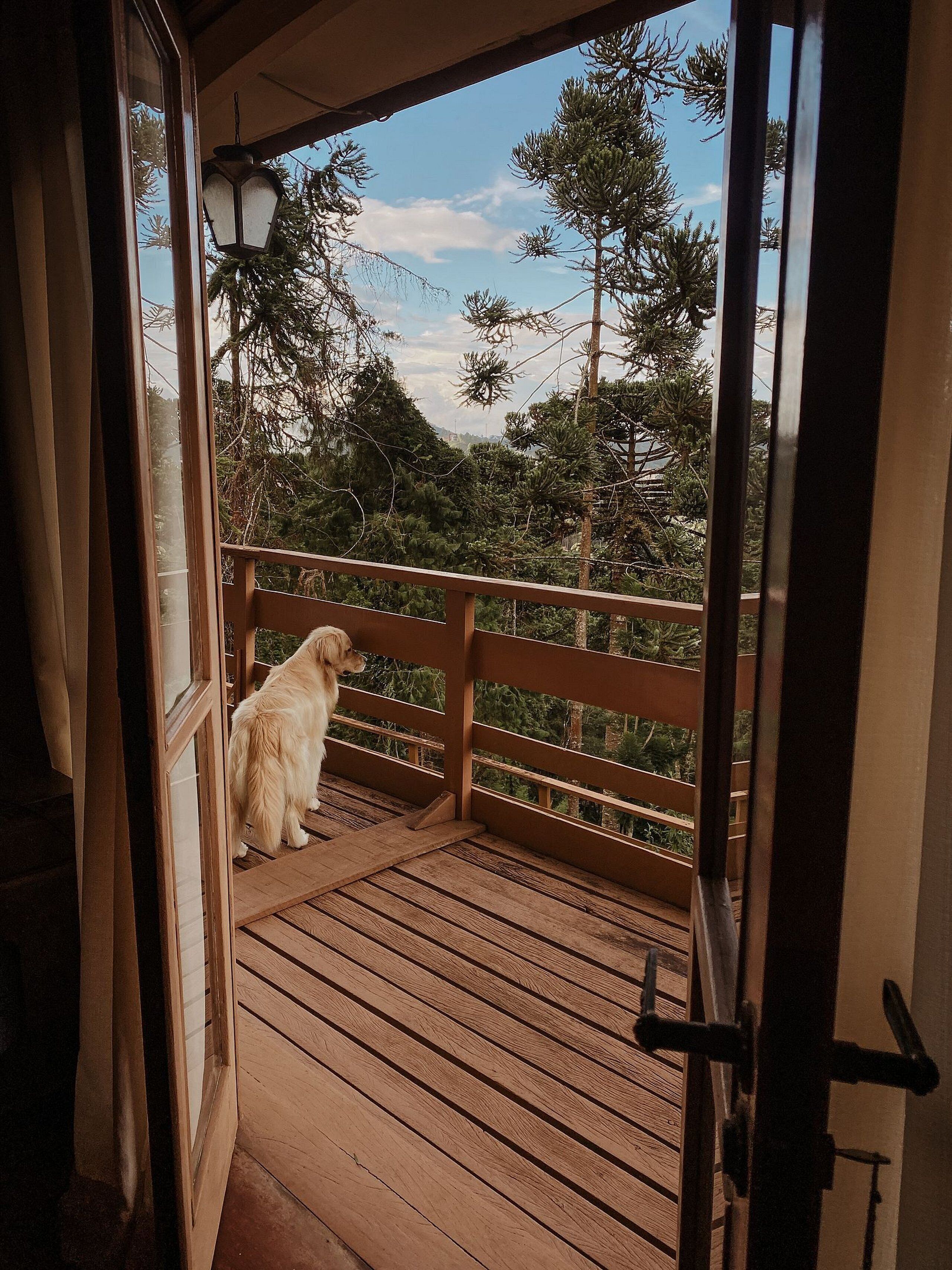 Villa básica | Interior