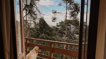 Villa básica | Interior