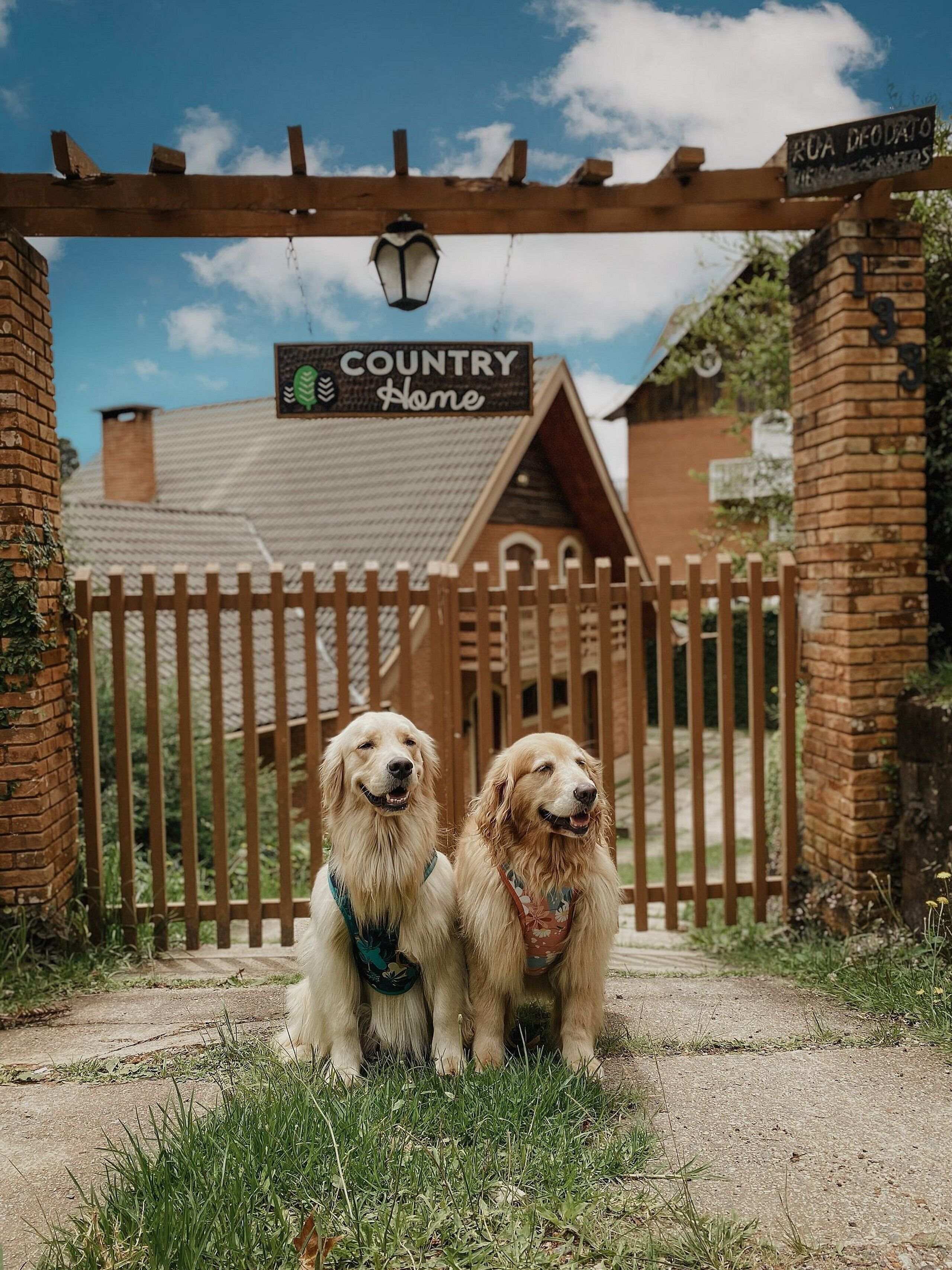 Villa básica | Jardines del alojamiento