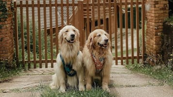 Villa básica | Jardines del alojamiento