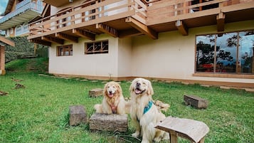 Villa básica | Áreas de la propiedad