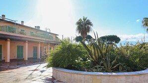 Un patio con suelo de baldosas, una palmera y un edificio con contraventanas verdes.