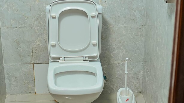 Kylpyhuone, jossa on wc, wc-paperiteline ja WC-harja.