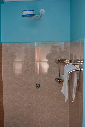 Combined shower/bathtub, spring water bathtub, rainfall showerhead