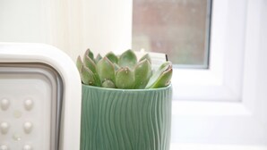 A green pot with a succulent plant on a white surface. - 8 Guests - 4 Bedrooms - Parking - Garden (Norwich)