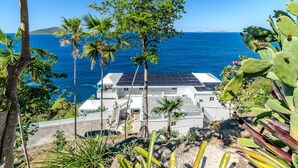A coastal property with a solar panel roof, palm trees, and a cactus in the foreground.