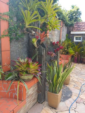 A stone wall with potted plants, a tiled floor, and a window. - Appartement 2 à 6 Personnes (Ducos)