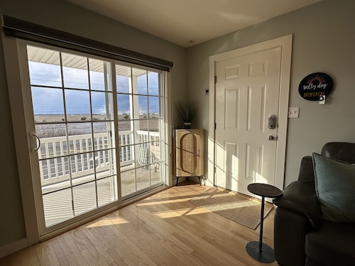 Salty Dog: South End Sunsets - Dog Friendly 2 short blocks to 42nd Street beach