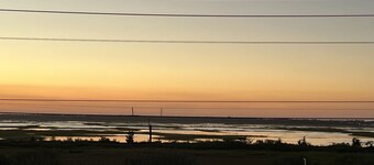 Salty Dog: South End Sunsets - Dog Friendly 2 short blocks to 42nd Street beach