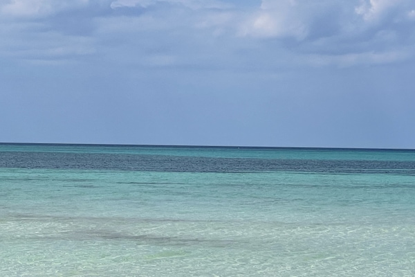 Una spiaggia nelle vicinanze