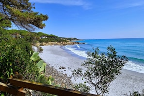 Playa en los alrededores 