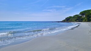Ein Strand mit klarem, blauem Wasser, einem sandigen Ufer und einer felsigen Landzunge mit Grünpflanzen.