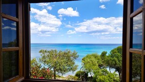 Blick aus dem Fenster auf eine Küstenlandschaft mit Bäumen und dem Meer.