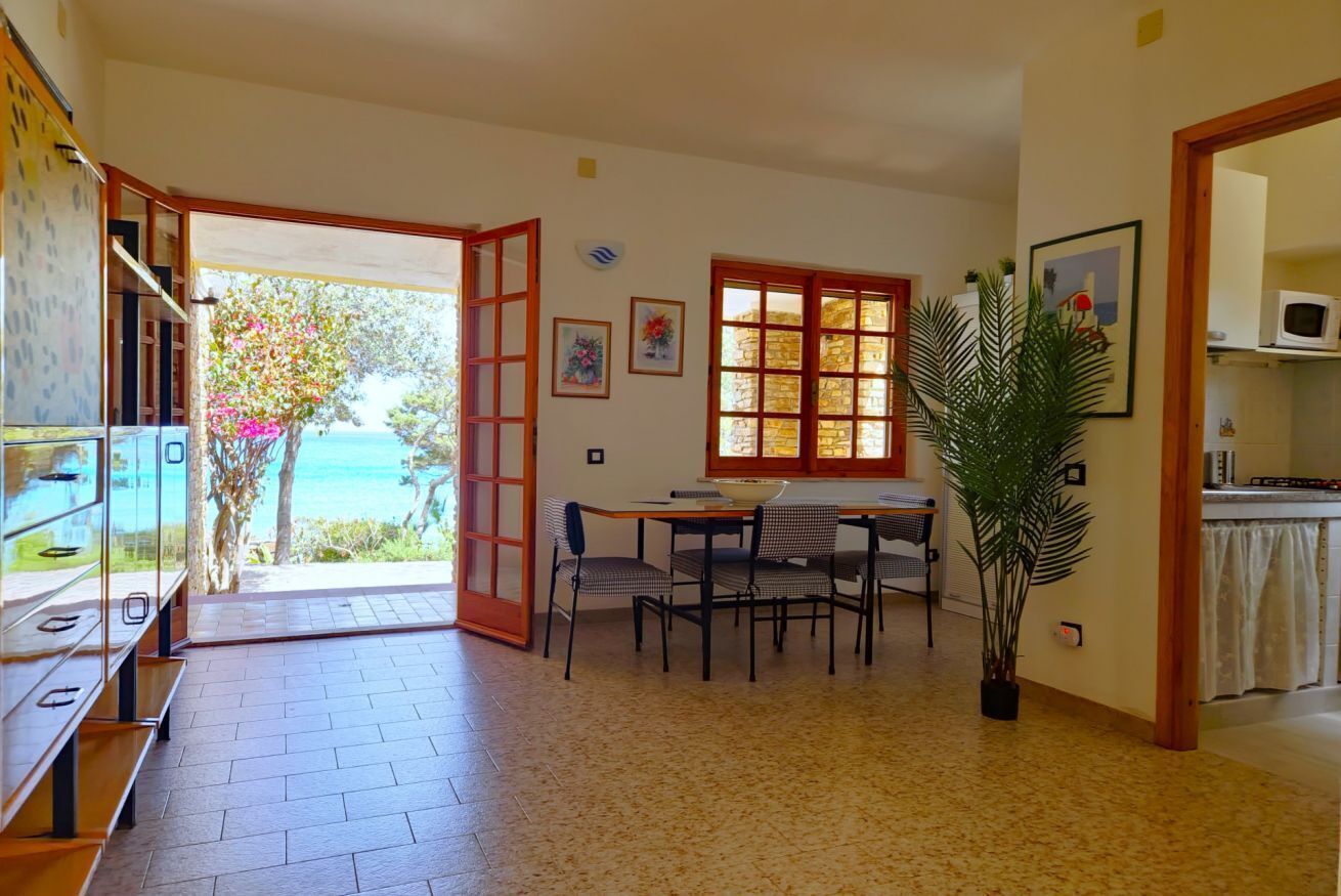 Un espace repas comprenant une table et des chaises, une plante en pot et une vue sur l’extérieur.