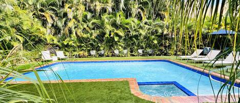 Una piscina rectangular con borde azul, rodeada de césped cuidado y follaje tropical.