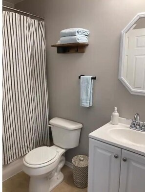 Hair dryer, towels, soap, shampoo - The Bicycle Apartment - includes free bike use (Snohomish)
