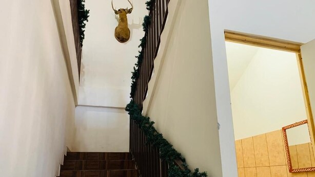 A staircase with wooden steps and a railing, decorated with greenery. - Casa Sucursal del Cielo (Concepción de Ataco)