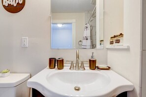 Hair dryer, soap, shampoo