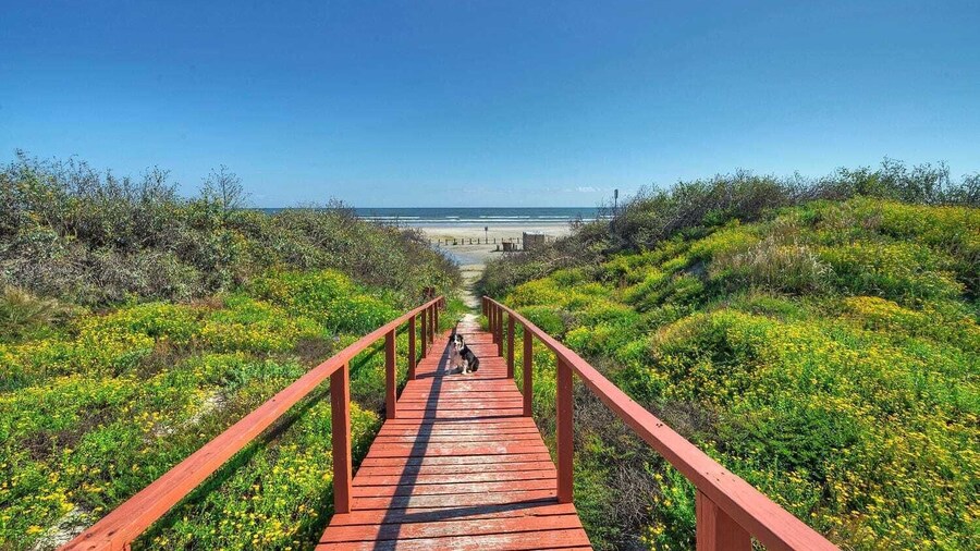 2 Pools, Beach Boardwalk Access Studio, Sleeps 5 Beach Bungalow by Avantstay