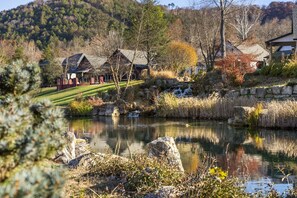 Property grounds - Dogwood Flats 🌲 Fire Pit  🔥  Hot Tub 💦 Lake Taneycomo Access (Hollister)