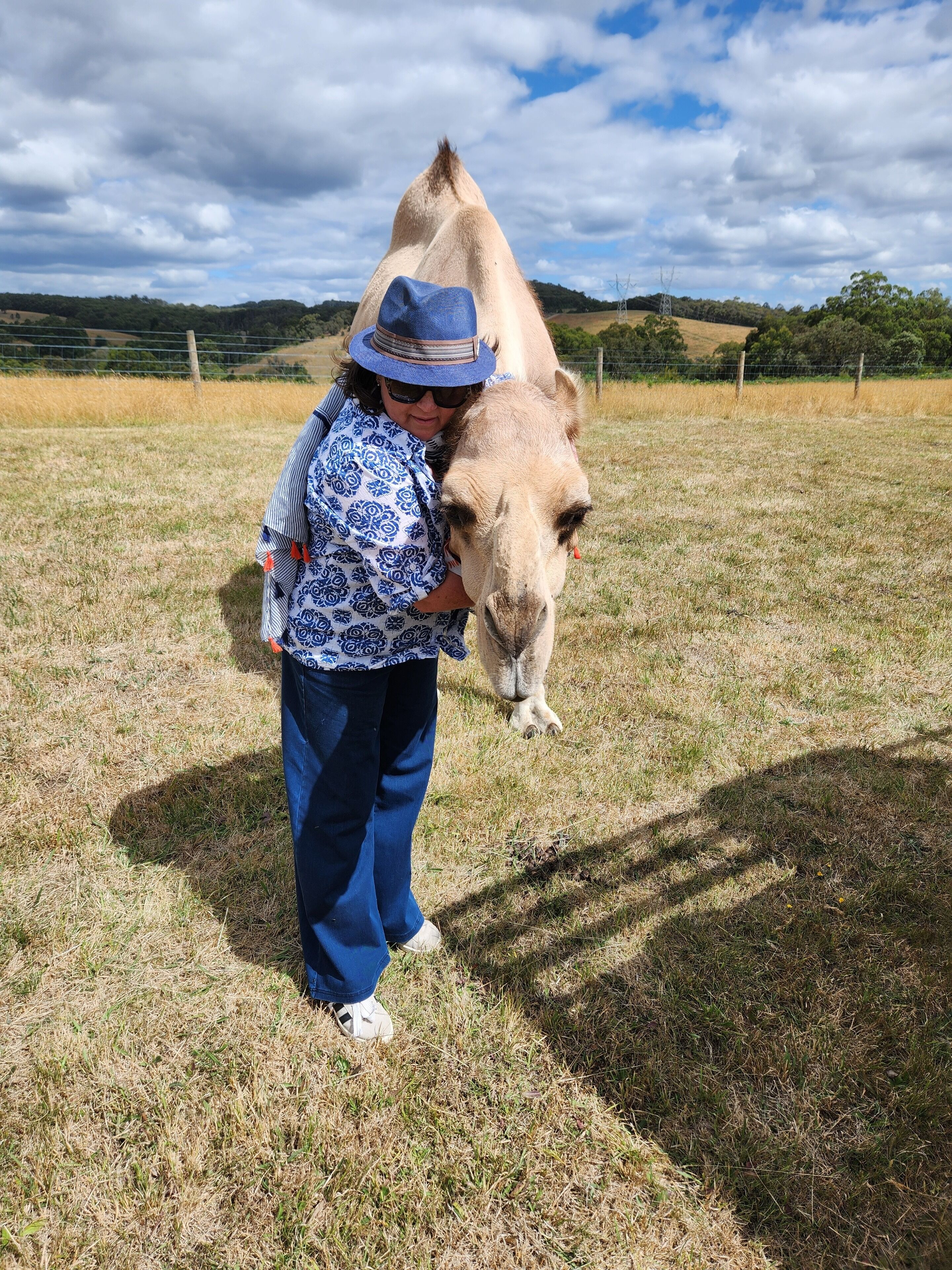 A person hugging a camel in a grassy field with a fence and trees in the background.