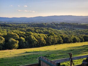 Ein weitreichender Blick auf eine üppige, grüne Landschaft mit einem hölzernen Zaun im Vordergrund.