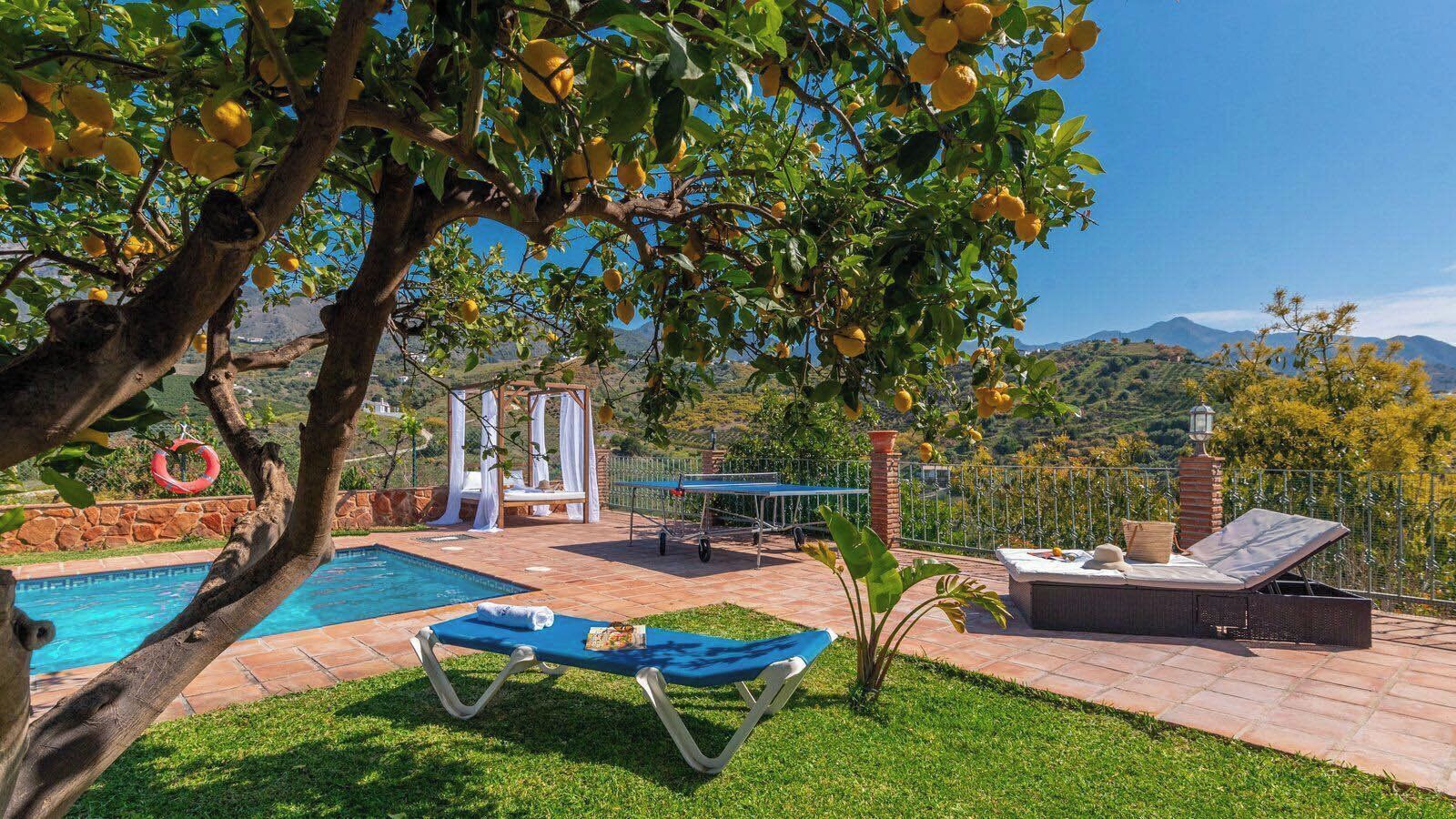 テラス / パティオ