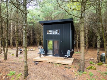 Welcome to Little Cabin in the Pines