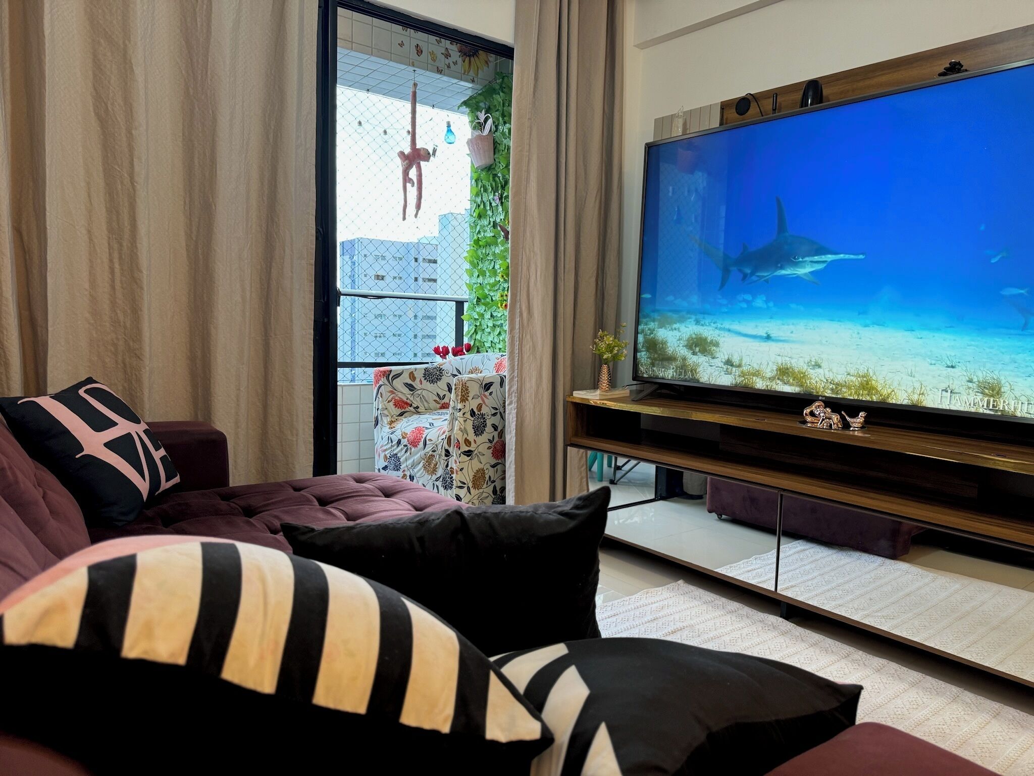 Smart TV