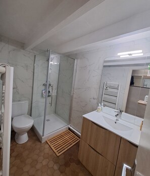 Shower, hair dryer, towels